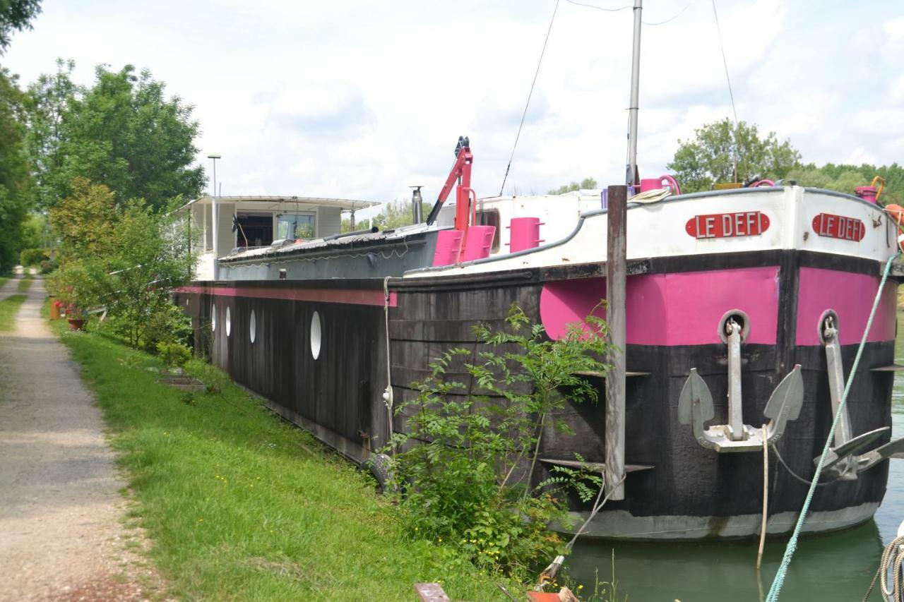 Peniche "Le Defi" Bed & Breakfast Marolles-sur-Seine Bagian luar foto